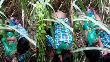 Dehati lovers having sex in a grass field