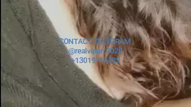 AK47 ? 11 NOV